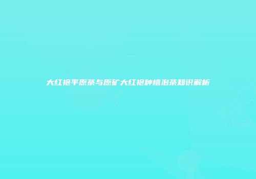 大红袍平原茶与原矿大红袍种植泡茶知识解析