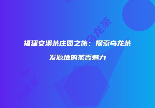 福建安溪茶庄园之旅：探索乌龙茶发源地的茶香魅力