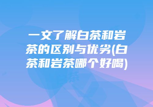 一文了解白茶和岩茶的区别与优劣(白茶和岩茶哪个好喝)