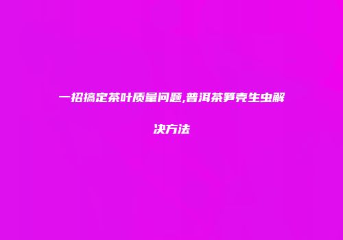一招搞定茶叶质量问题,普洱茶笋壳生虫解决方法