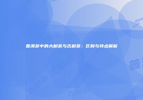 普洱茶中的大树茶与古树茶：区别与特点解析