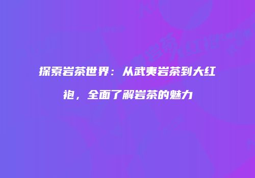 探索岩茶世界：从武夷岩茶到大红袍，全面了解岩茶的魅力
