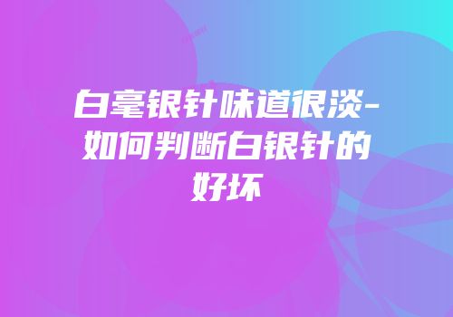 白毫银针味道很淡-如何判断白银针的好坏