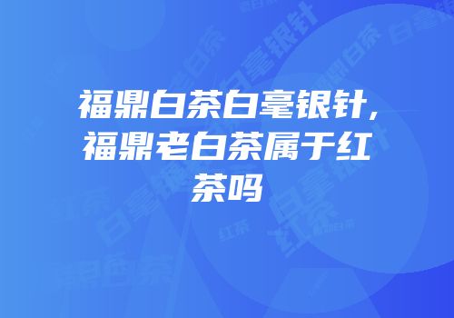 福鼎白茶白毫银针,福鼎老白茶属于红茶吗