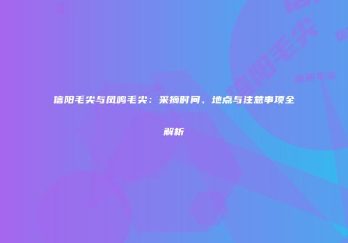 信阳毛尖与凤鸣毛尖：采摘时间、地点与注意事项全解析