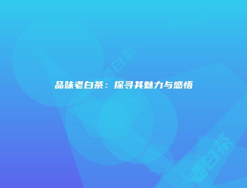 品味老白茶：探寻其魅力与感悟