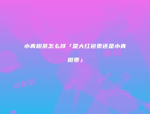 小青柑茶怎么样「是大红袍贵还是小青柑贵」