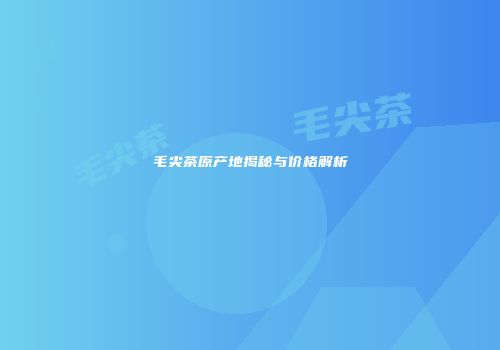 毛尖茶原产地揭秘与价格解析
