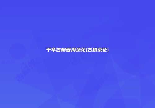 千年古树普洱茶花(古树茶花)