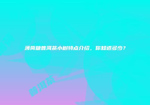薄荷糖普洱茶小树特点介绍，你知道多少？
