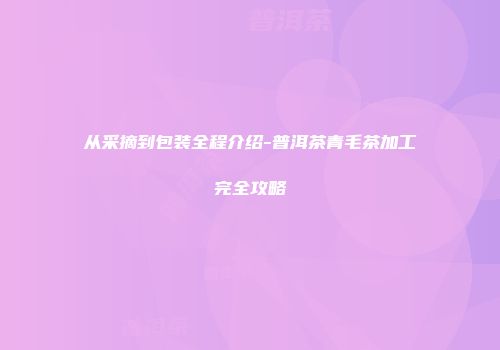 从采摘到包装全程介绍-普洱茶青毛茶加工完全攻略