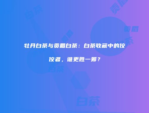 牡丹白茶与贡眉白茶：白茶收藏中的佼佼者，谁更胜一筹？