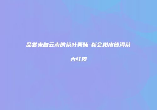 品尝来自云南的茶叶美味-新会柑皮普洱茶大红皮