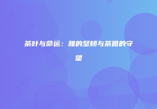 茶叶与命运：雅的坚韧与茶园的守望