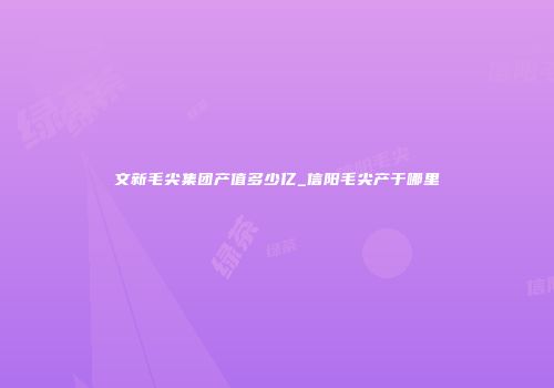 文新毛尖集团产值多少亿_信阳毛尖产于哪里