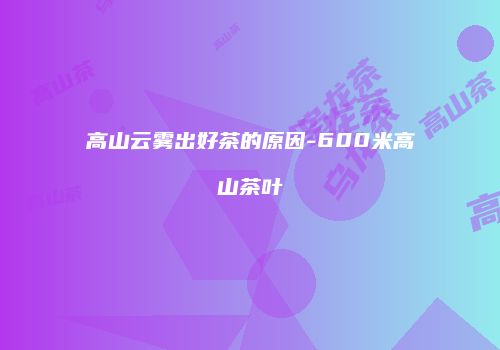 高山云雾出好茶的原因-600米高山茶叶