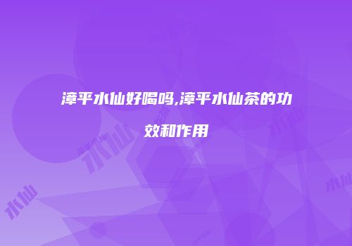 漳平水仙好喝吗,漳平水仙茶的功效和作用