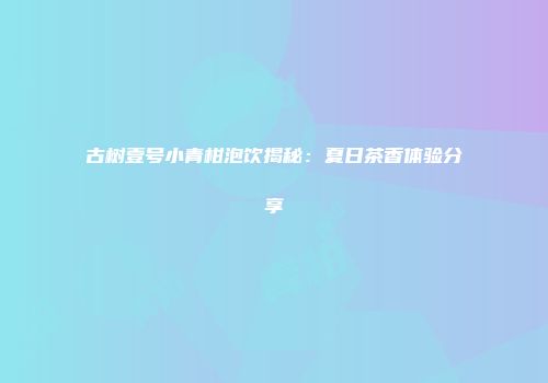 古树壹号小青柑泡饮揭秘：夏日茶香体验分享