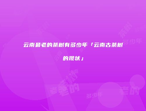云南最老的茶树有多少年「云南古茶树的现状」