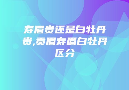 寿眉贵还是白牡丹贵,贡眉寿眉白牡丹区分