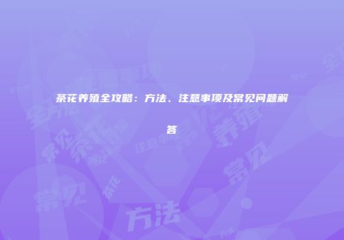 茶花养殖全攻略：方法、注意事项及常见问题解答