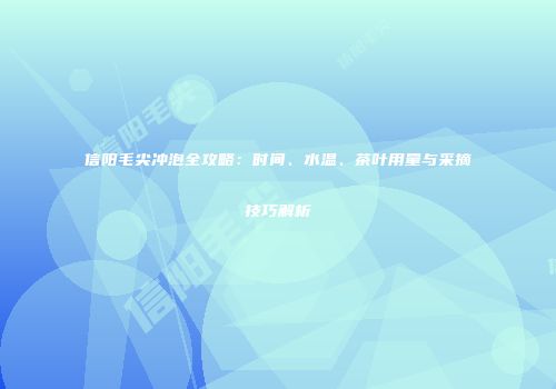信阳毛尖冲泡全攻略：时间、水温、茶叶用量与采摘技巧解析