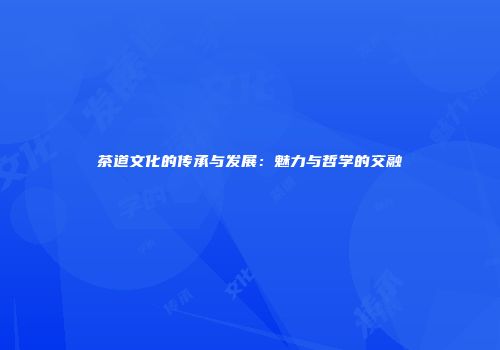 茶道文化的传承与发展：魅力与哲学的交融