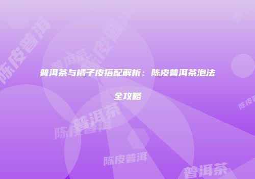 普洱茶与橘子皮搭配解析：陈皮普洱茶泡法全攻略