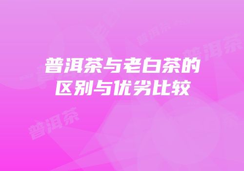 普洱茶与老白茶的区别与优劣比较