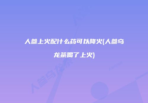 人参上火配什么药可以降火(人参乌龙茶喝了上火)