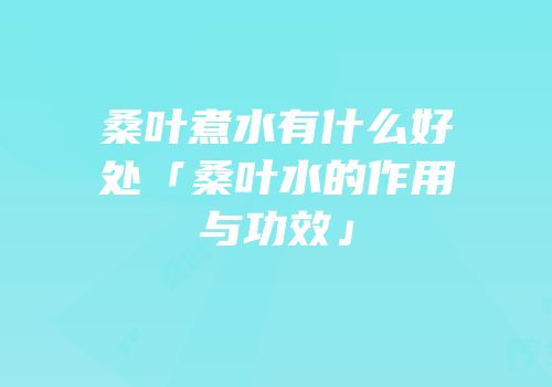 桑叶煮水有什么好处「桑叶水的作用与功效」