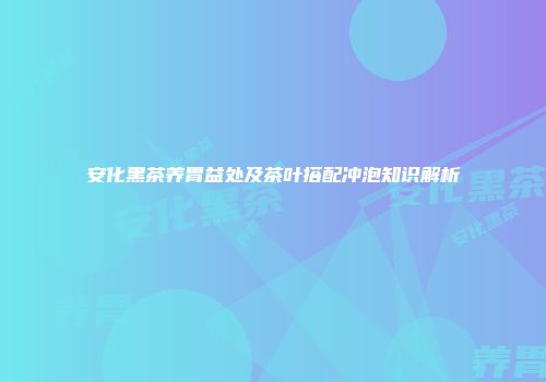 安化黑茶养胃益处及茶叶搭配冲泡知识解析