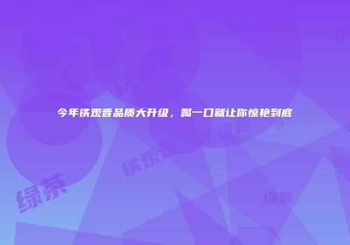 今年铁观音品质大升级，喝一口就让你惊艳到底