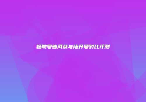 杨聘号普洱茶与陈升号对比评测