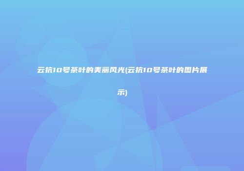 云抗10号茶叶的美丽风光(云抗10号茶叶的图片展示)