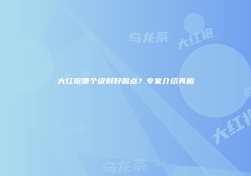 大红袍哪个级别好喝点？专家介绍真相