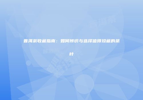 普洱茶收藏指南：如何辨识与选择值得珍藏的茶叶