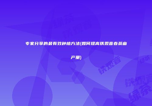 专家分享的最有效种植方法(如何提高铁观音春茶亩产量)
