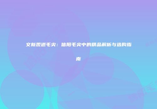 文新观道毛尖：信阳毛尖中的精品解析与选购指南