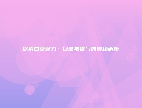 探索白茶魅力：口感与香气的奥秘解析