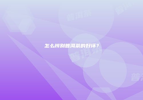怎么辨别普洱茶的好坏？