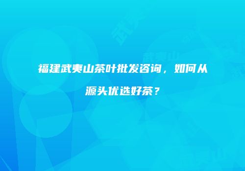 福建武夷山茶叶批发咨询，如何从源头优选好茶？