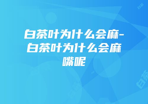 白茶叶为什么会麻-白茶叶为什么会麻嘴呢