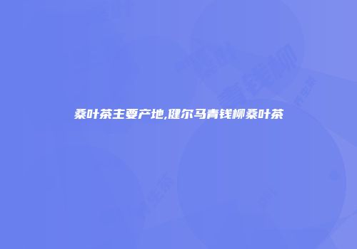 桑叶茶主要产地,健尔马青钱柳桑叶茶