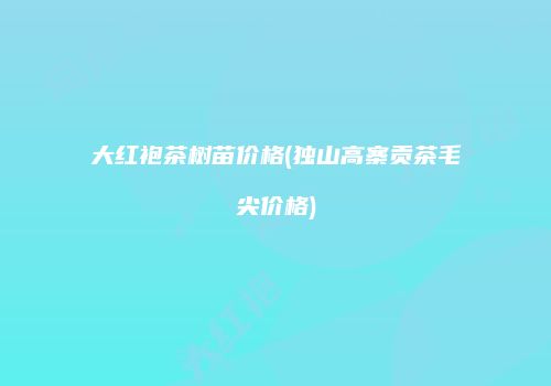 大红袍茶树苗价格(独山高寨贡茶毛尖价格)