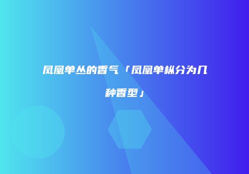 凤凰单丛的香气「凤凰单枞分为几种香型」