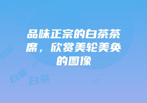 品味正宗的白茶茶席，欣赏美轮美奂的图像