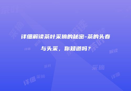 详细解读茶叶采摘的秘密-茶的头春与头采，你知道吗？