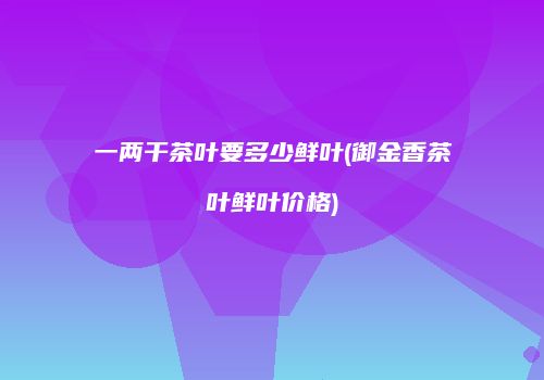 一两干茶叶要多少鲜叶(御金香茶叶鲜叶价格)