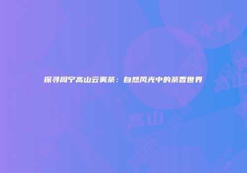 探寻周宁高山云雾茶：自然风光中的茶香世界